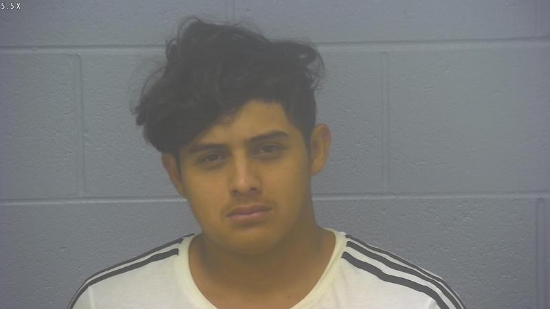 Arrest Photo of WYLMER YOVANI LOPEZ RAMOS, arrested on 7/13/2025